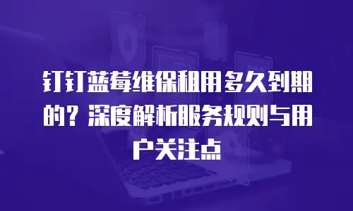 钉钉蓝莓维保租用多久到期的？深度解析服务规则与用户关注点