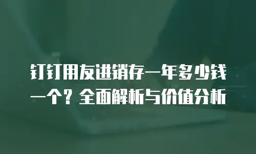 钉钉用友进销存一年多少钱一个？全面解析与价值分析
