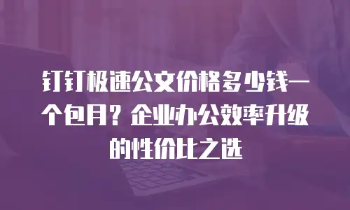 钉钉极速公文价格多少钱一个包月？企业办公效率升级的性价比之选