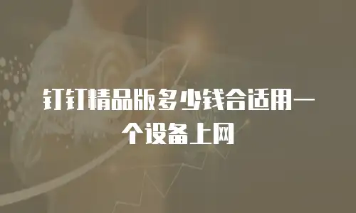 钉钉精品版多少钱合适用一个设备上网