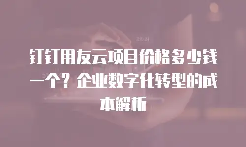 钉钉用友云项目价格多少钱一个？企业数字化转型的成本解析