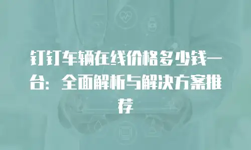 钉钉车辆在线价格多少钱一台：全面解析与解决方案推荐