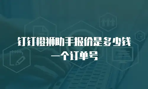 钉钉橙狮助手报价是多少钱一个订单号