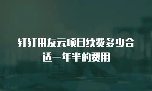 钉钉用友云项目续费多少合适一年半的费用