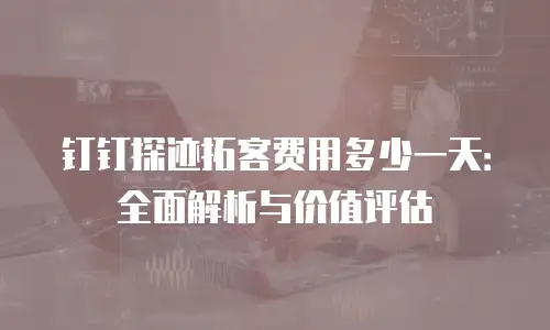 钉钉探迹拓客费用多少一天：全面解析与价值评估