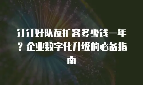 钉钉好队友扩容多少钱一年？企业数字化升级的必备指南