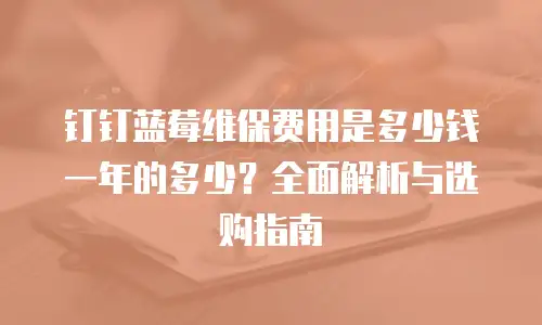钉钉蓝莓维保费用是多少钱一年的多少？全面解析与选购指南