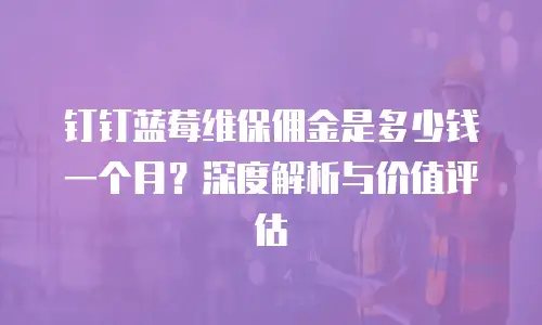 钉钉蓝莓维保佣金是多少钱一个月？深度解析与价值评估