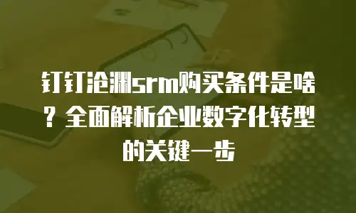 钉钉沧渊srm购买条件是啥？全面解析企业数字化转型的关键一步