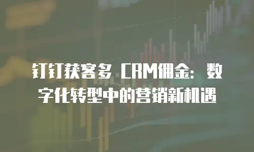 钉钉获客多 CRM佣金：数字化转型中的营销新机遇