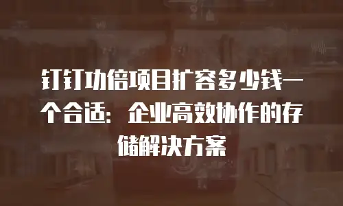 钉钉功倍项目扩容多少钱一个合适：企业高效协作的存储解决方案