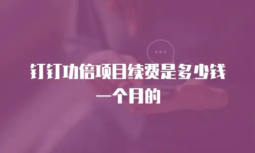 钉钉功倍项目续费是多少钱一个月的