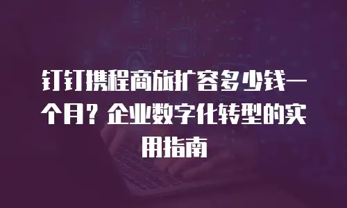 钉钉携程商旅扩容多少钱一个月？企业数字化转型的实用指南
