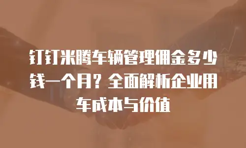 钉钉米腾车辆管理佣金多少钱一个月？全面解析企业用车成本与价值