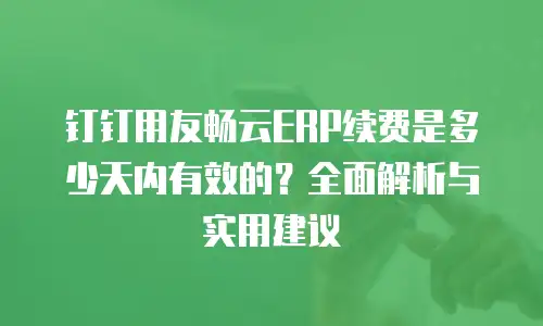 钉钉用友畅云ERP续费是多少天内有效的？全面解析与实用建议