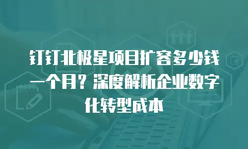 钉钉北极星项目扩容多少钱一个月？深度解析企业数字化转型成本