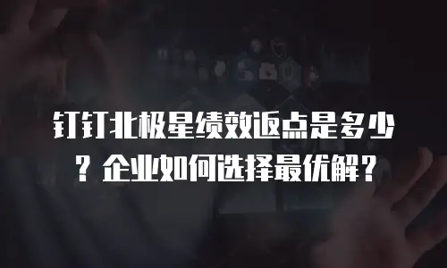 钉钉北极星绩效返点是多少？企业如何选择最优解？
