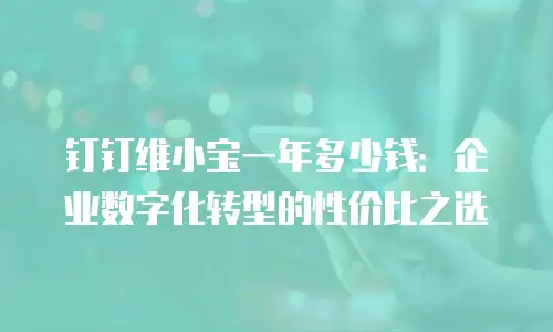 钉钉维小宝一年多少钱：企业数字化转型的性价比之选