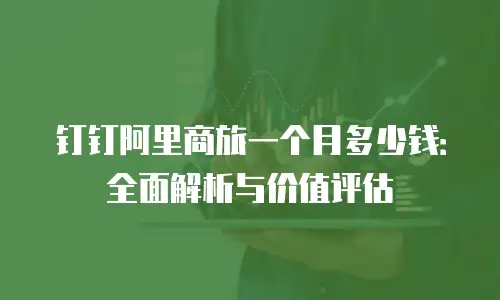 钉钉阿里商旅一个月多少钱：全面解析与价值评估