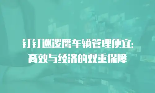 钉钉巡逻鹰车辆管理便宜：高效与经济的双重保障