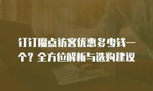 钉钉魔点访客优惠多少钱一个？全方位解析与选购建议