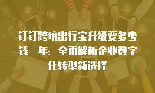 钉钉跨境出行宝升级要多少钱一年：全面解析企业数字化转型新选择