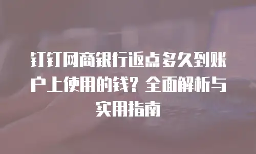 钉钉网商银行返点多久到账户上使用的钱？全面解析与实用指南