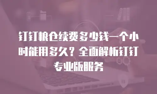钉钉粮仓续费多少钱一个小时能用多久？全面解析钉钉专业版服务