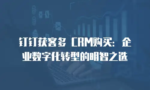 钉钉获客多 CRM购买：企业数字化转型的明智之选