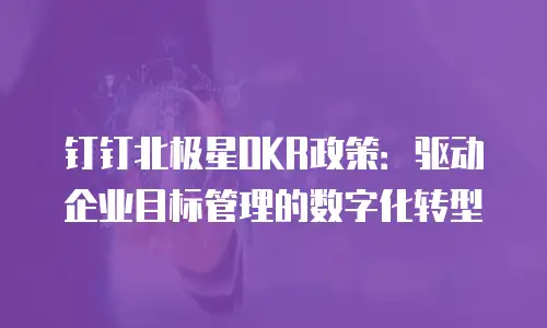 钉钉北极星OKR政策：驱动企业目标管理的数字化转型