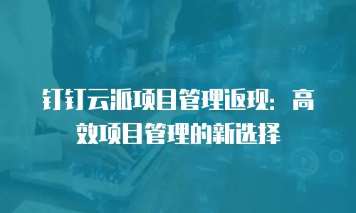 钉钉云派项目管理返现：高效项目管理的新选择