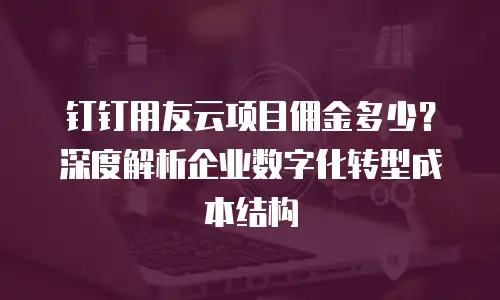 钉钉用友云项目佣金多少？深度解析企业数字化转型成本结构