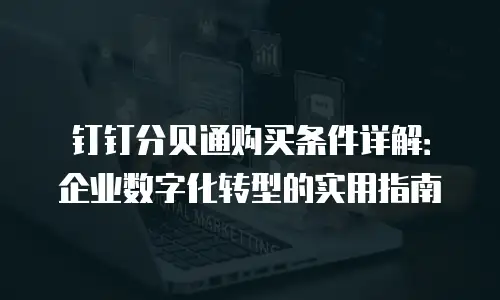 钉钉分贝通购买条件详解：企业数字化转型的实用指南