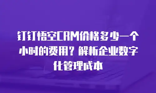 钉钉悟空CRM价格多少一个小时的费用？解析企业数字化管理成本