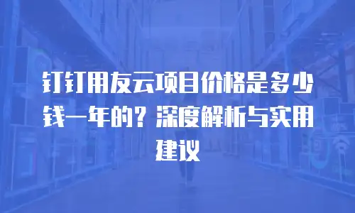 钉钉用友云项目价格是多少钱一年的？深度解析与实用建议
