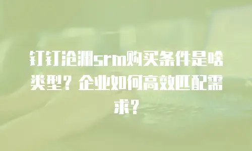 钉钉沧渊srm购买条件是啥类型？企业如何高效匹配需求？