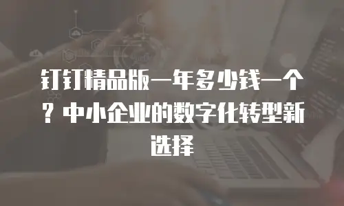 钉钉精品版一年多少钱一个？中小企业的数字化转型新选择