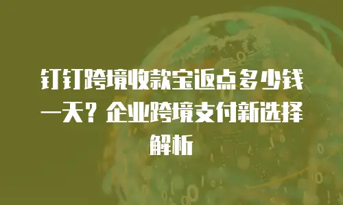钉钉跨境收款宝返点多少钱一天？企业跨境支付新选择解析