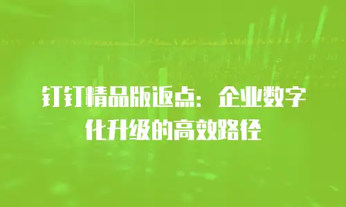 钉钉精品版返点：企业数字化升级的高效路径