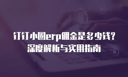 钉钉小圈erp佣金是多少钱？深度解析与实用指南