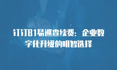 钉钉B1易巡查续费：企业数字化升级的明智选择