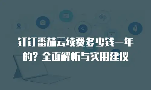 钉钉番茄云续费多少钱一年的？全面解析与实用建议