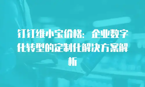 钉钉维小宝价格：企业数字化转型的定制化解决方案解析