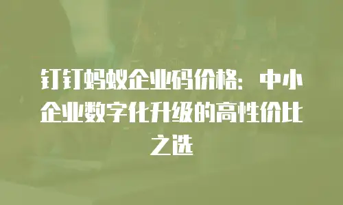钉钉蚂蚁企业码价格：中小企业数字化升级的高性价比之选