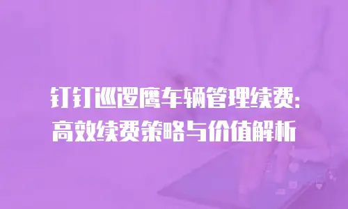 钉钉巡逻鹰车辆管理续费：高效续费策略与价值解析