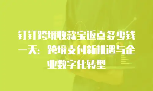 钉钉跨境收款宝返点多少钱一天：跨境支付新机遇与企业数字化转型