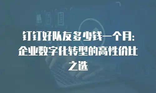 钉钉好队友多少钱一个月：企业数字化转型的高性价比之选