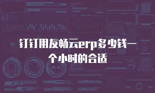 钉钉用友畅云erp多少钱一个小时的合适