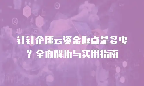 钉钉企速云资金返点是多少？全面解析与实用指南
