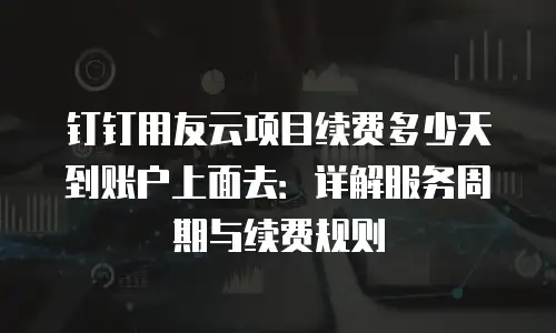 钉钉用友云项目续费多少天到账户上面去：详解服务周期与续费规则